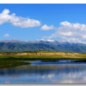 诗情画意———青海湖