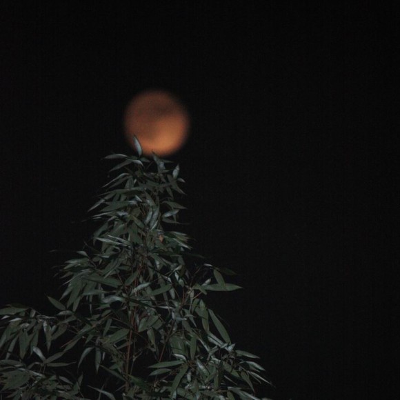 15阴天看16的月亮