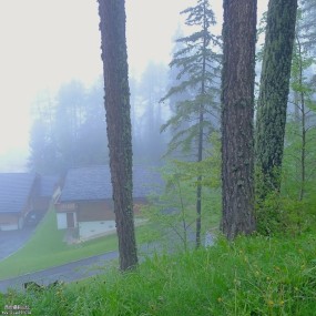 雨雾濛濛的小镇