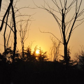 “好摄之徒，影动御园”现场花絮
