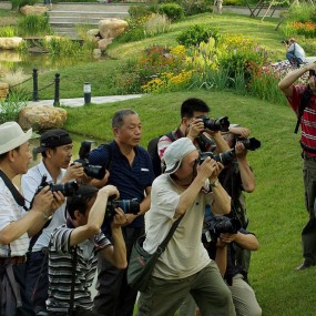 维兰德小镇外拍