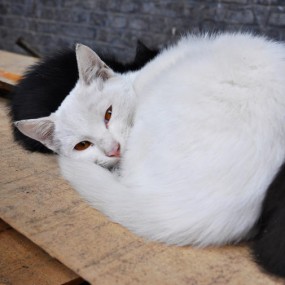 亲~你把我吵醒了！