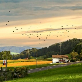 德国乡村田园景色