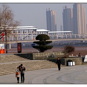 【随拍】渭河添新景，廊桥显雏形