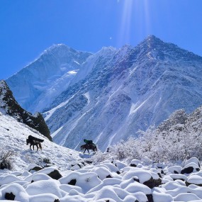 贡嘎山区那玛峰登山滑雪的故事
