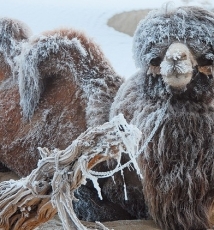 八百米沙漠大画幅