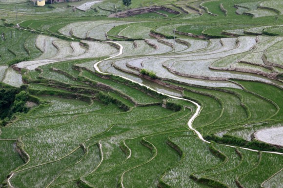 梯田