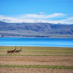 大美西藏丨跟着摄影师镜头心游西藏