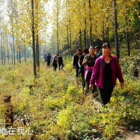 秋日山林户外行