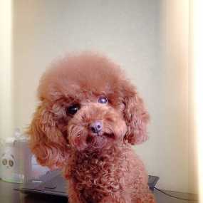 我家一岁三个月的小美女