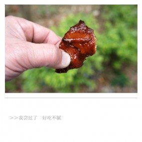 农家乐—蜜汁叉烧