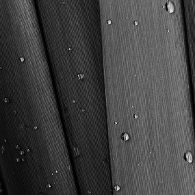 Cole Thompson 黑白影像