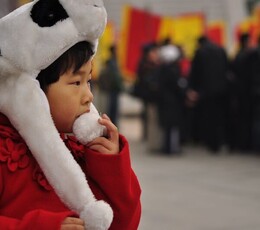 可爱的熊猫-----大唐芙蓉活动偷拍