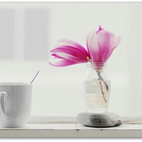 窗前，逆光，静物