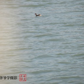 跟着爷爷学摄影