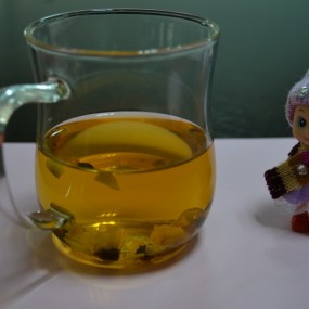 昆仑雪菊--冰山上的来客