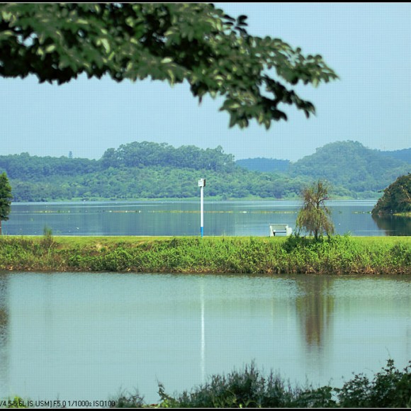 冬季东莞的同沙生态园