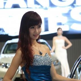 2013年车展——没有赶上活动的作业！