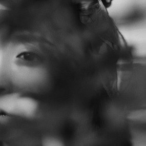 或者，心里没有色彩