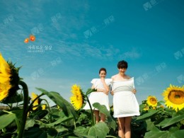 唯一视觉裸照 向日葵