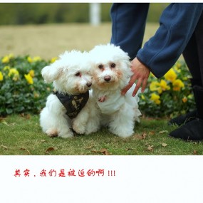 今天,我们结婚啦!