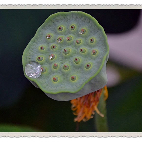 阴天汉城湖闲逛之