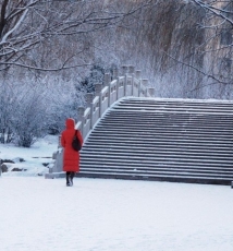 冬季雪景如何展现冷峻？