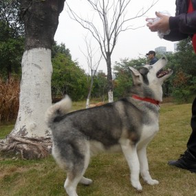 情人节里，找到你的新郎新娘了吗？