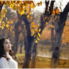 金色诱惑-杜陵秋景人像