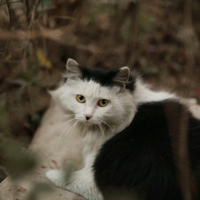 今天2.14乱拍的几张