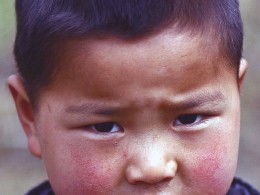 深山里的孩子——