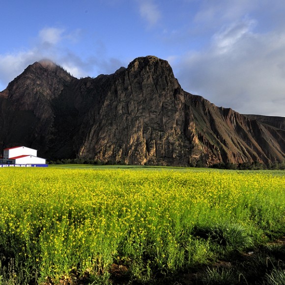 天境祁连----野牛沟风光