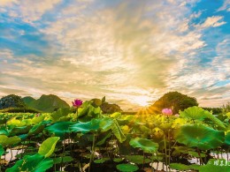 嫁给一个爱旅行的男人，到底有多爽？