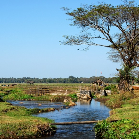 八莫城市风光之二