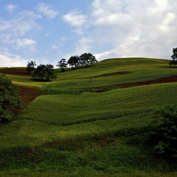 秦岭原野风光（六）