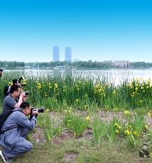 2013年“五一”车展+世博园模特