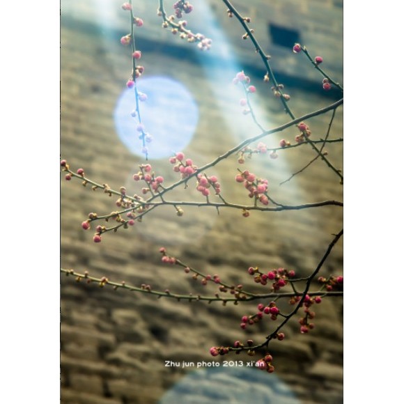 冬去春来，快门儿的生活写真馆