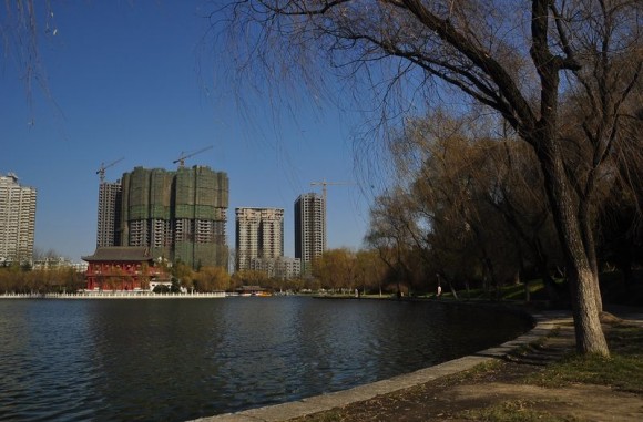 两张今天拍的风景