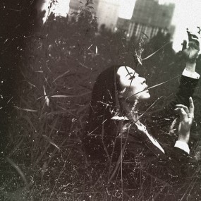 我的精神  渴望自由