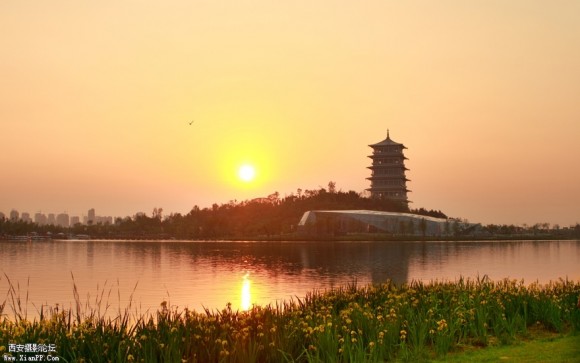 1夕晕湖光秀塔影【世园参赛作品】