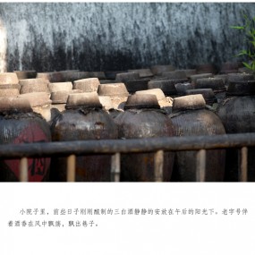 乌镇，三白酒坊，不止是风景