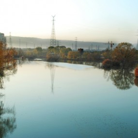 灞桥湿地公园初冬印象