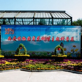 植物园之蝶恋花