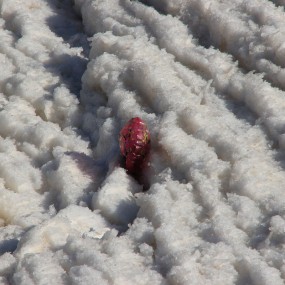 冬日的壶口冰凌---随拍