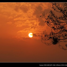 新手报到-秋拍杜陵