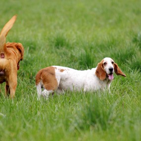 新人报道发几张照片，请各位老师批评指正！