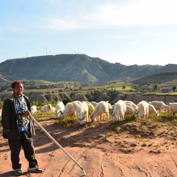 唱不够的信天游