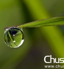 小水珠里的美丽世界