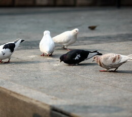 1218,儿童游乐场一组