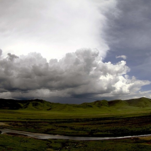 云上花开（十七）漫野花香